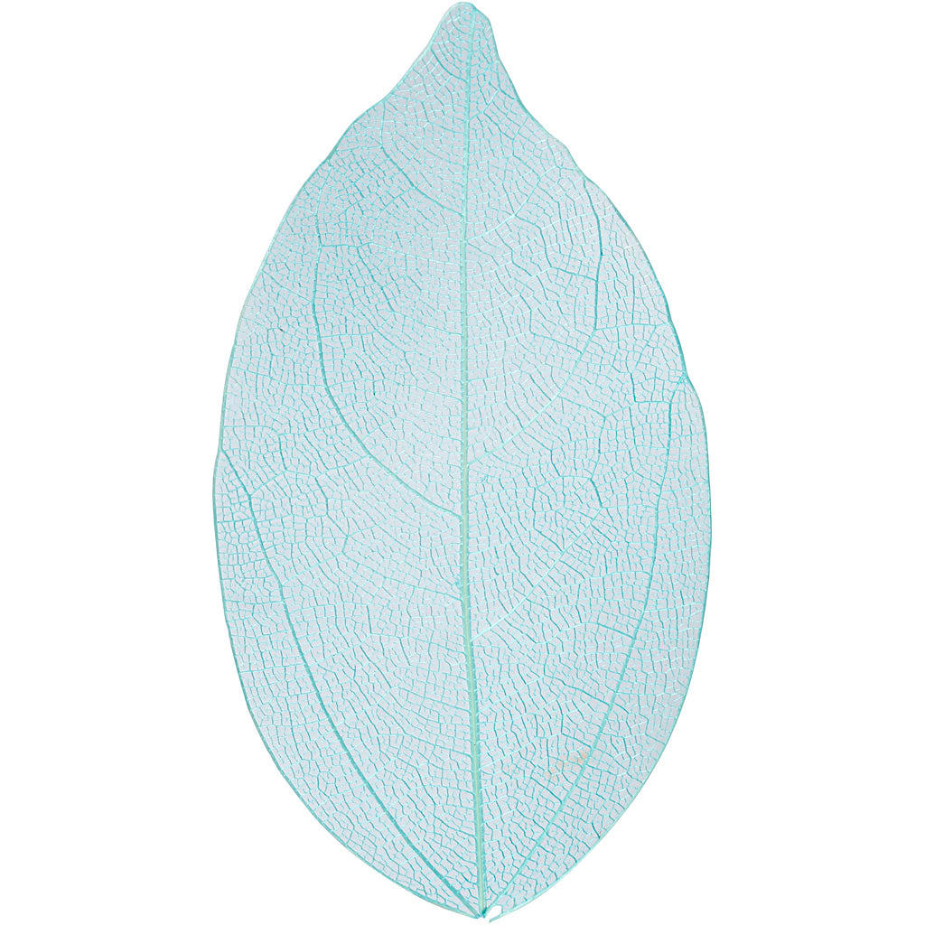 Creativ company skeleton leaves , l: 6-8 cm, light blue, 20 pieces 1 box