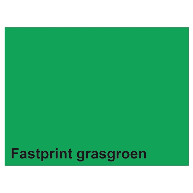 Quantore copy paper fastprint a4 160gr grass green 50 sheets