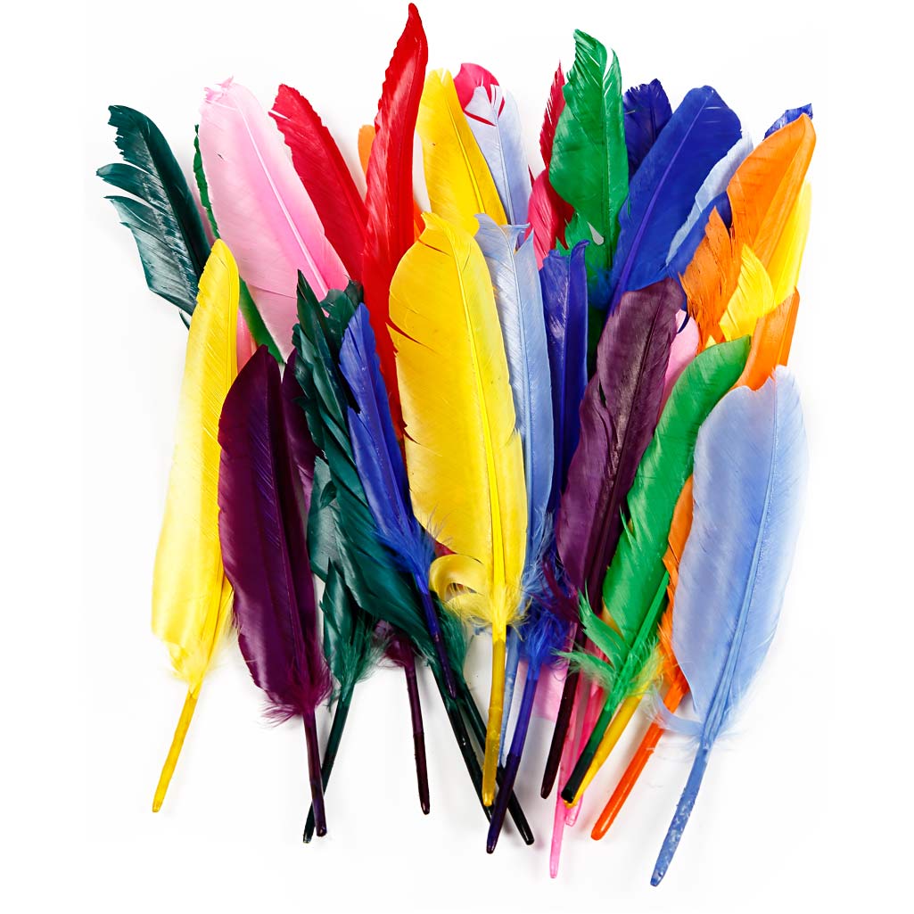 Creativ company feathers, l: 17-20 cm, 250 pieces 1 box