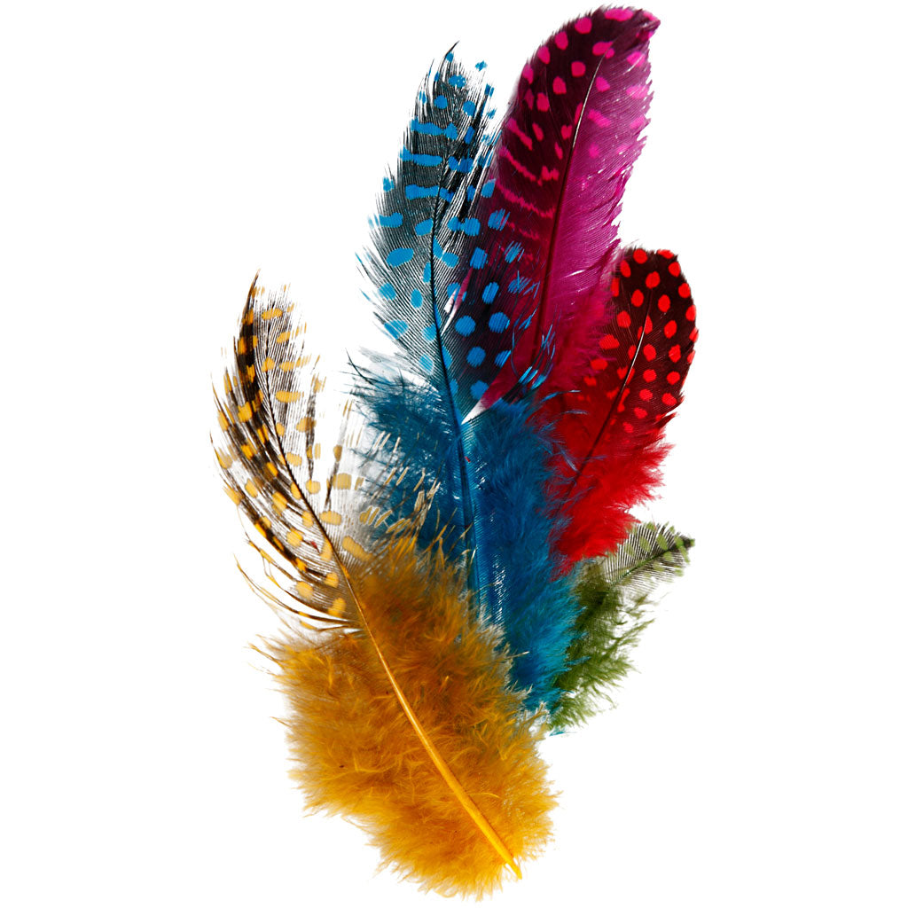 Creativ company guinea fowl feathers, approx. 100 pieces, various colours, 3 g 1 box
