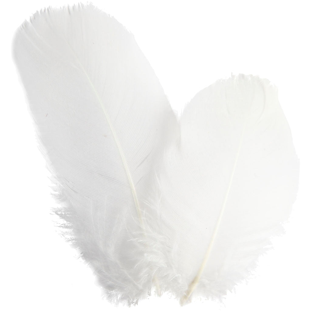 Creativ company goose feathers - round, l: 5-8 cm, approx. 70 pieces, white, 3 g 1 box