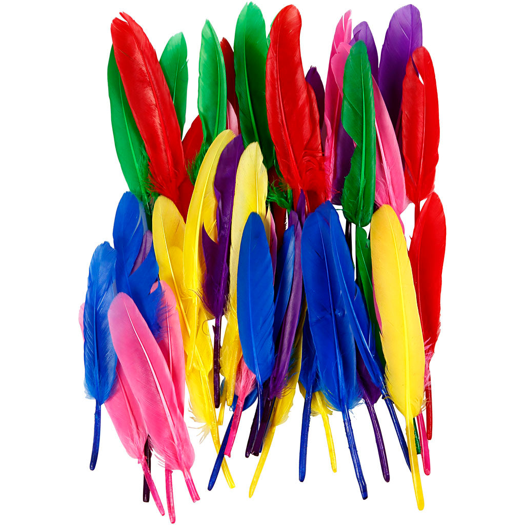 Creativ company feathers, l: 13 cm, various colors, 48 pieces 1 box
