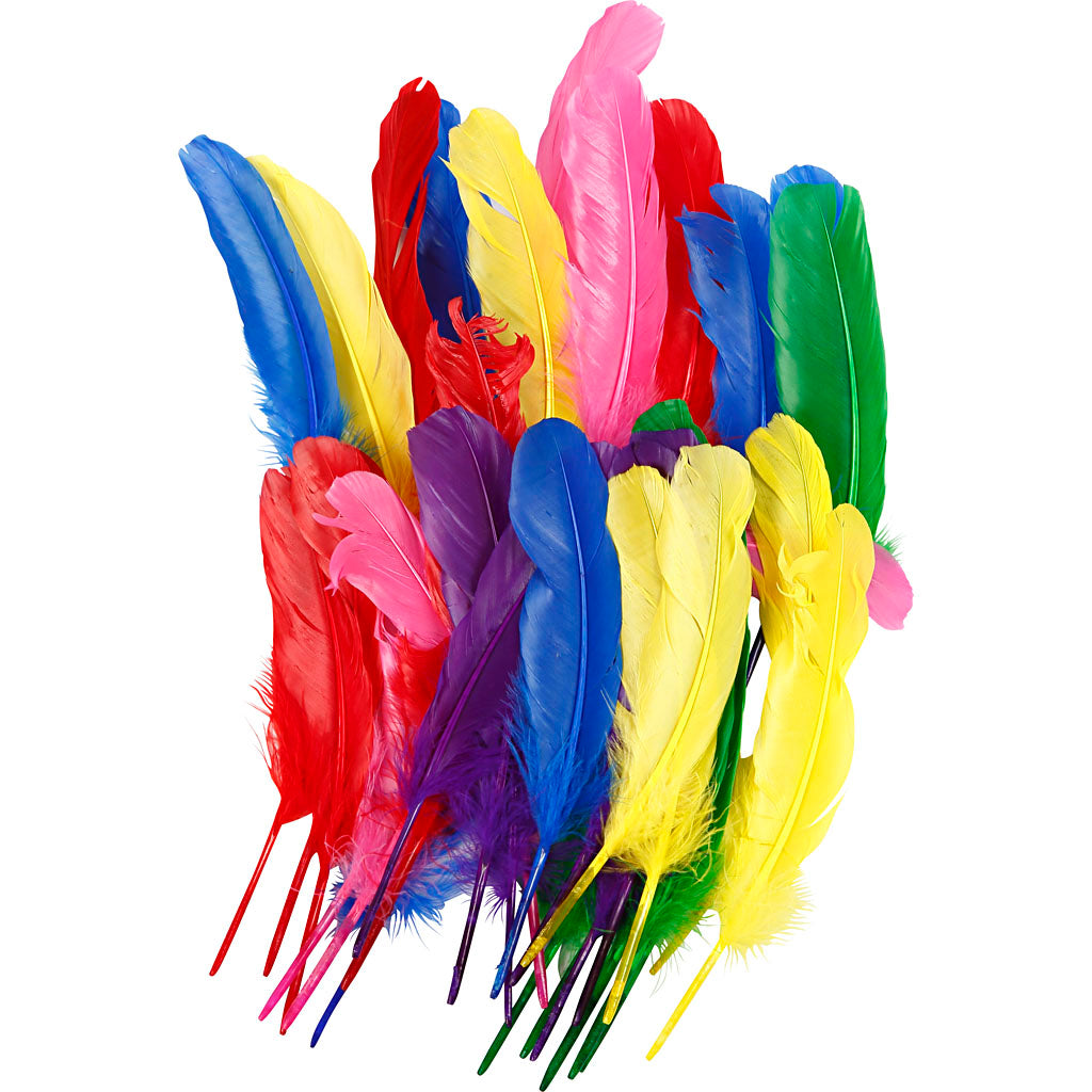 Creativ company feathers, l: 20 cm, various colours, 36 pieces 1 box
