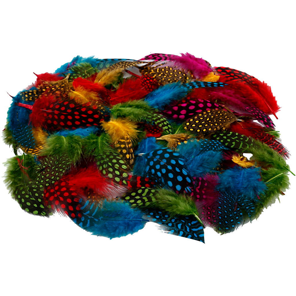 Creativ company guinea fowl feathers, approx. 1500 pieces, various colors, 50 g 1 box