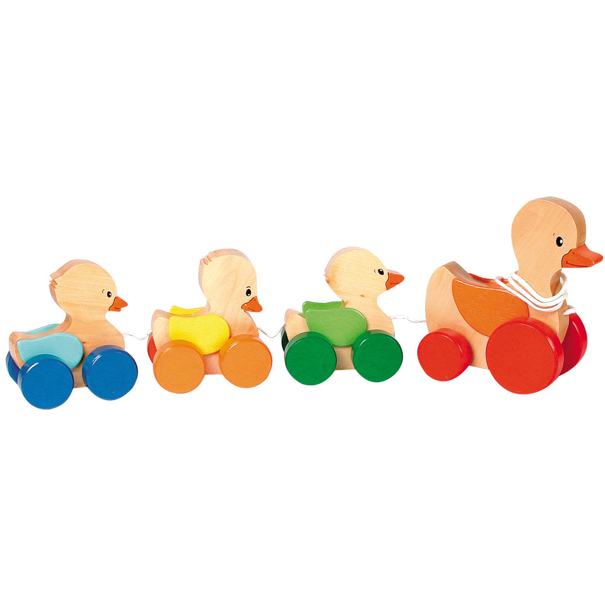 Goki Migrationstierente Küken