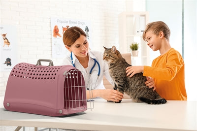 IMac reisekurv linus rosa