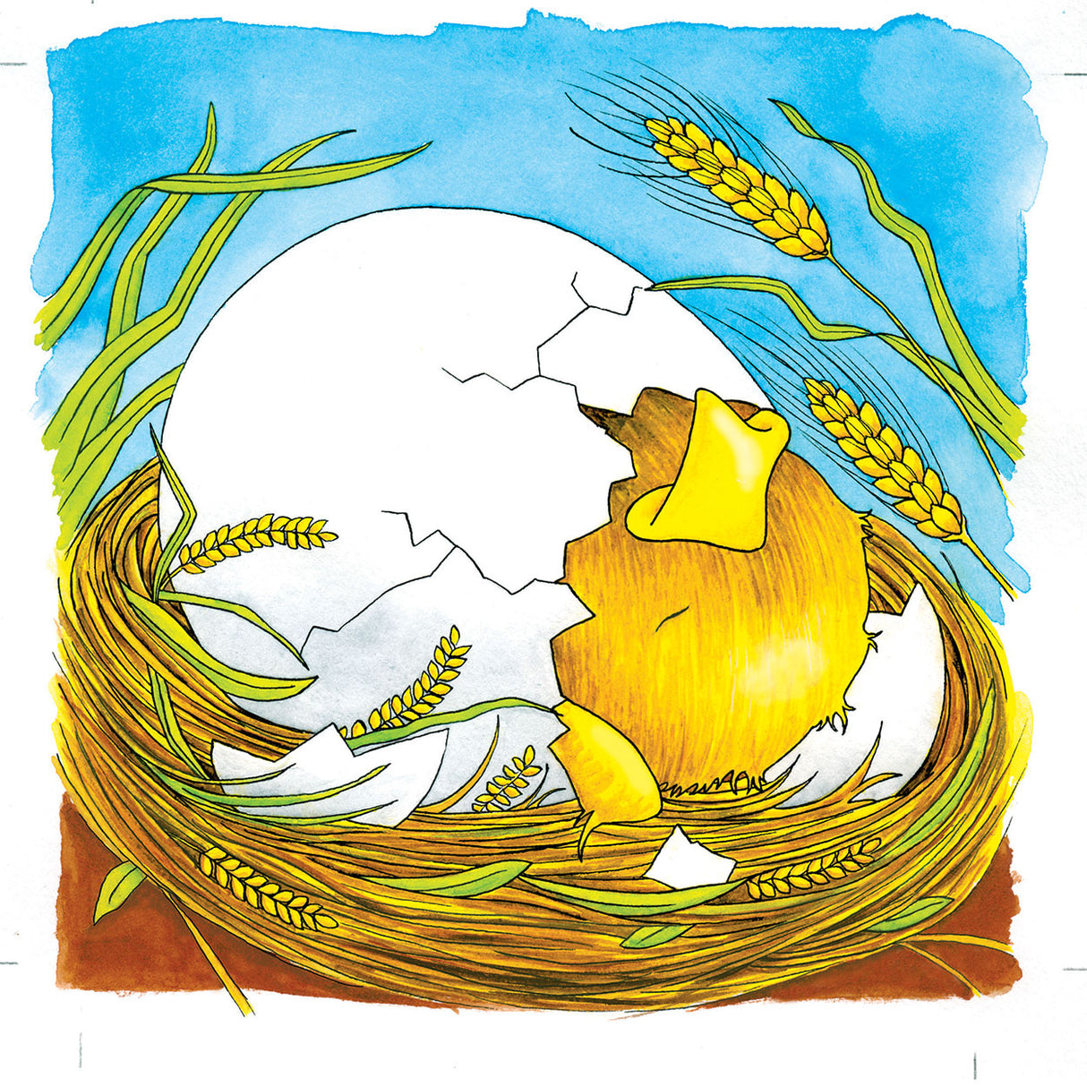 Goki sicín bhfreagra ciseal adhmaid