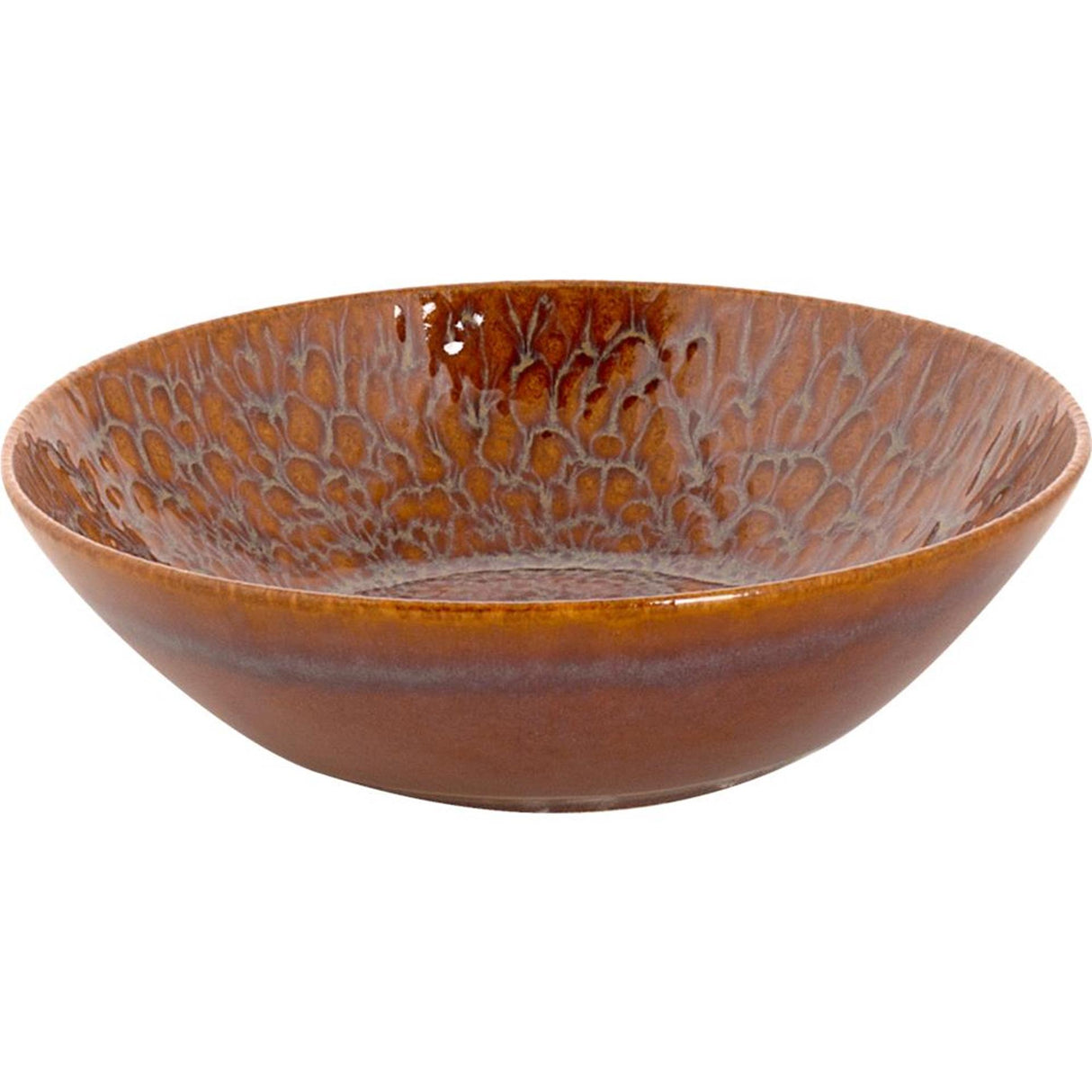 Palmer schaaltje magmatic 17cm coupe bruin 6st