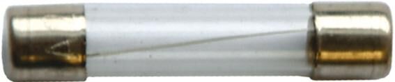 Spahn glass fuse 8a 6x32 mm (10pcs)