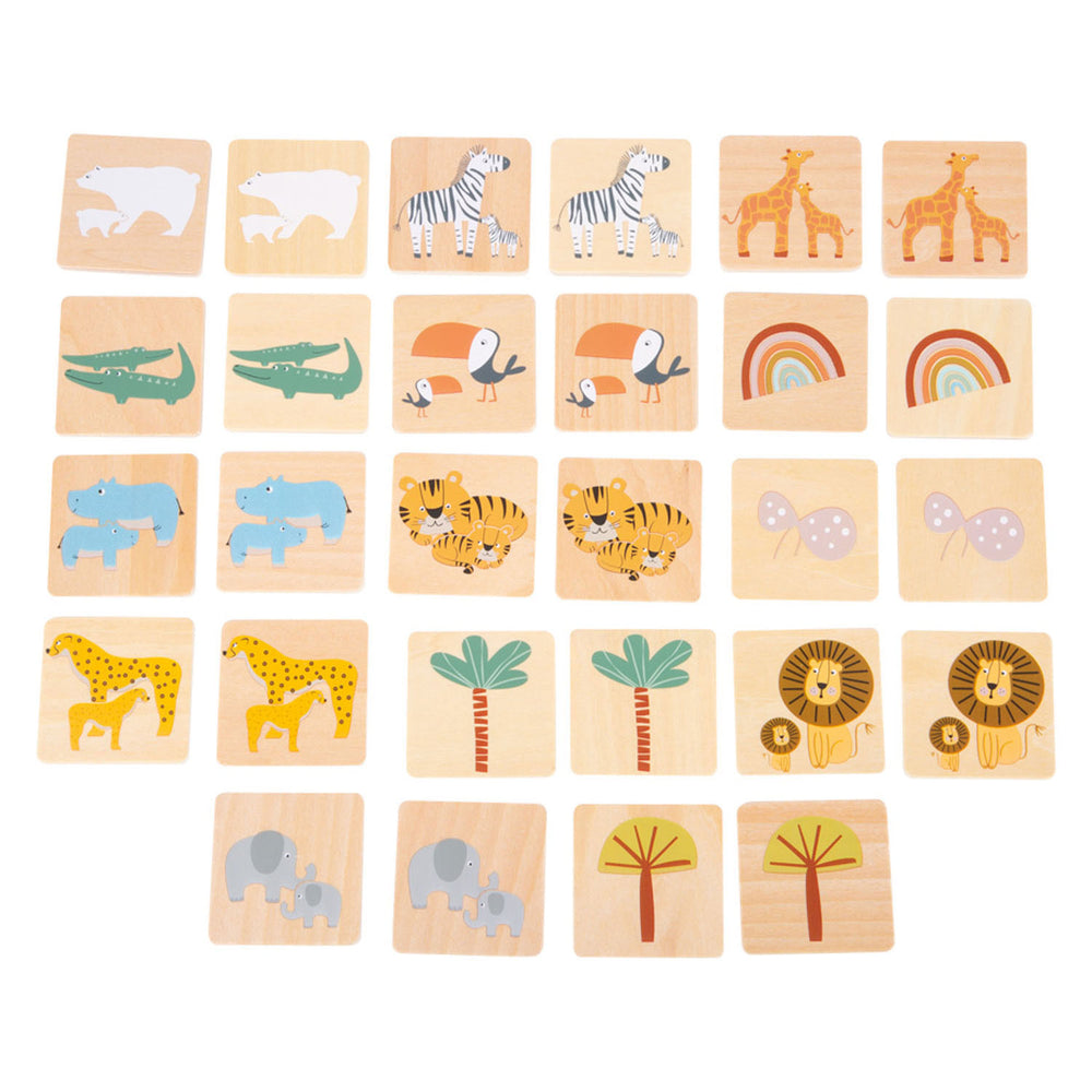 Liten fotmemo safari