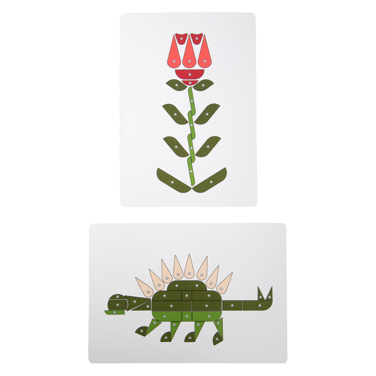 Small Foot Hammer Tap Plants and Living Creatures