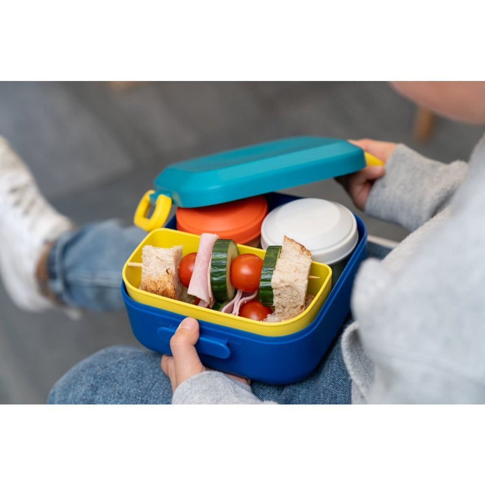 Amuse rikko midnight lagoon lunch box
