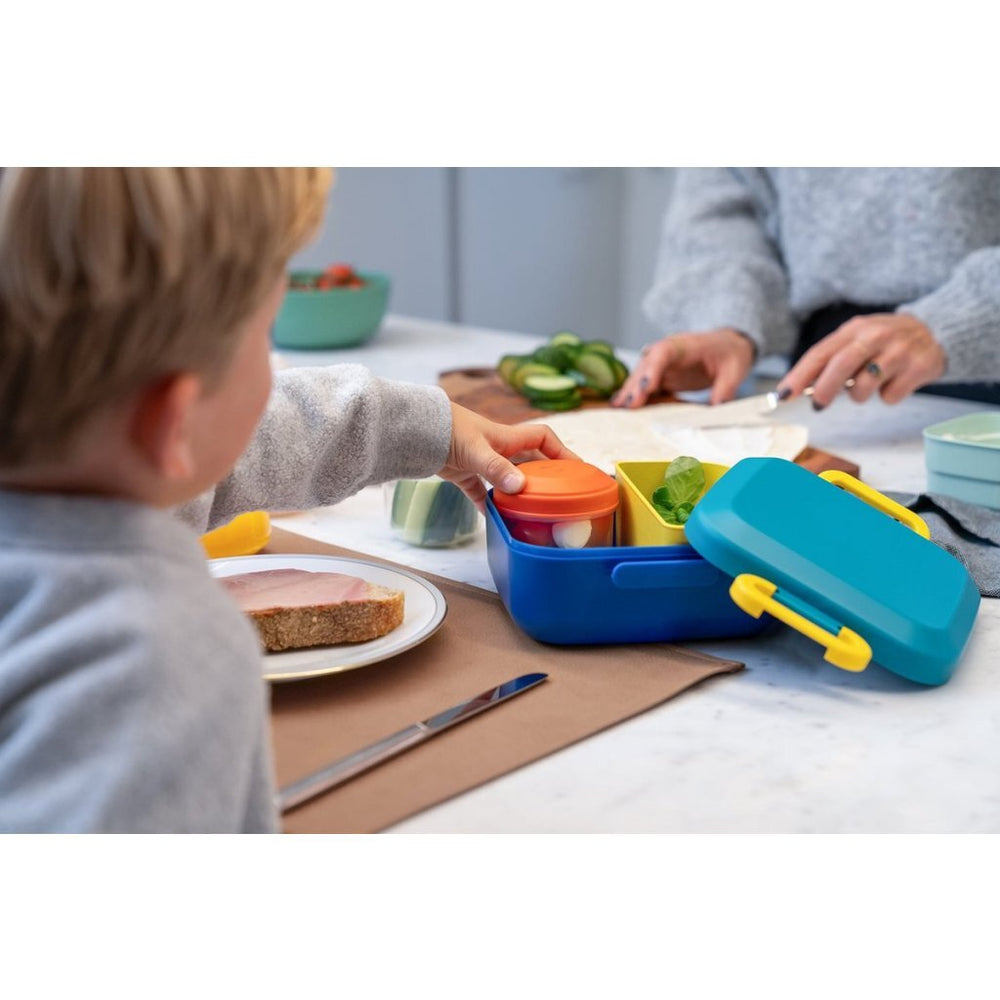 Amuse rikko midnight lagoon lunch box