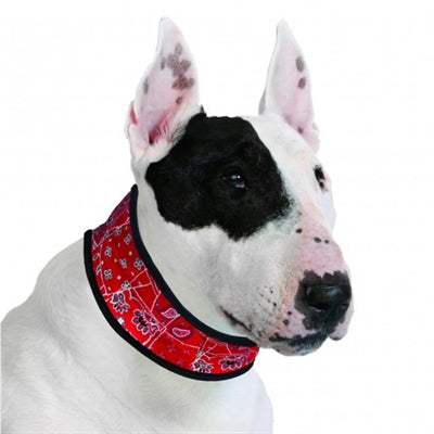 Aqua Coolkeeper Red Western