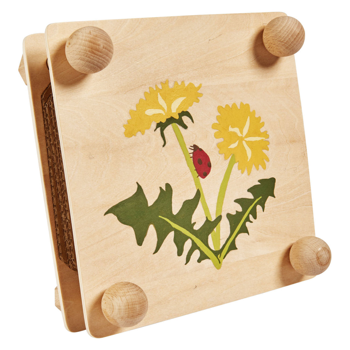 Eichhorn Outdoor Folhas e Flor Press Craft Set