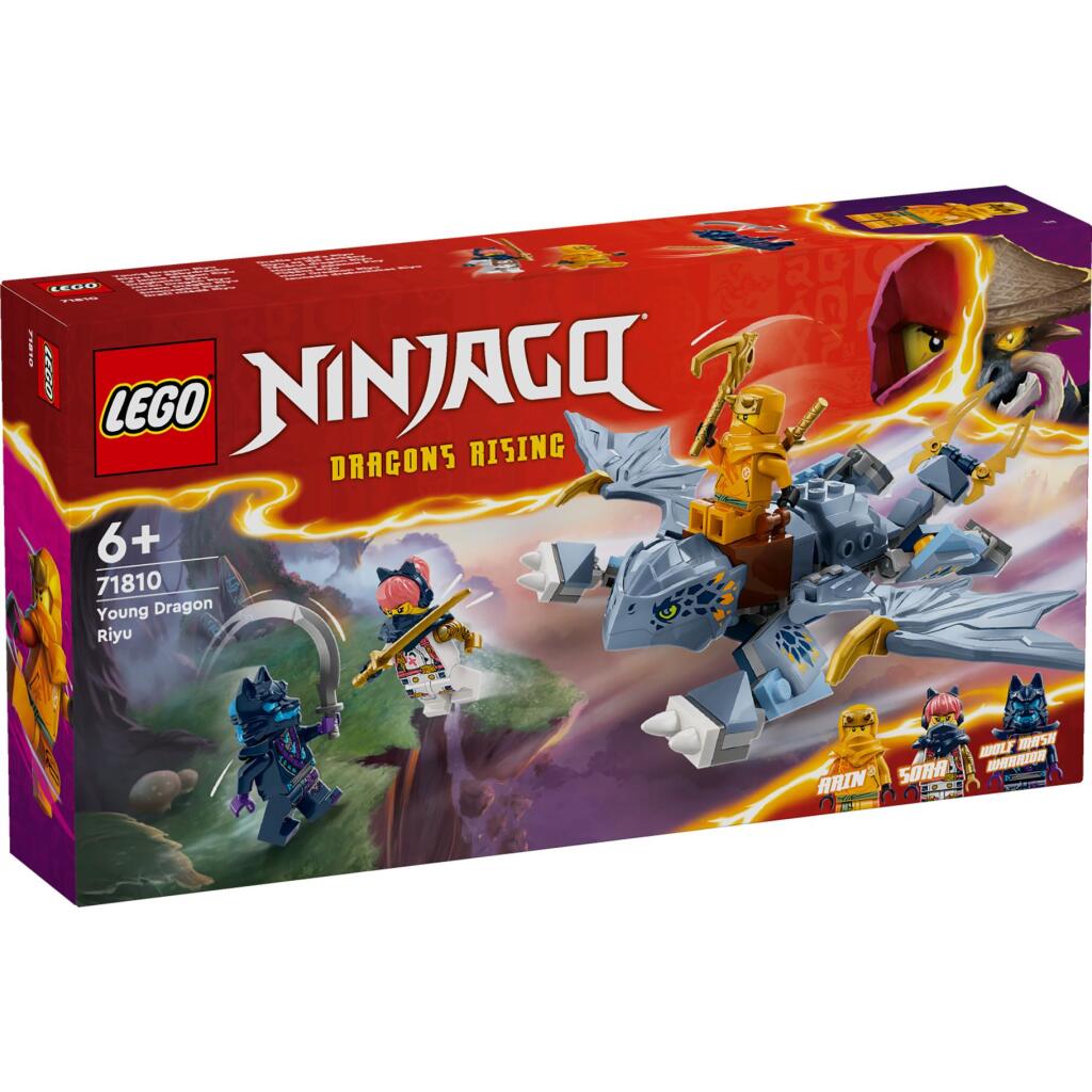 Lego 71810 Ninjago Young Draak Riyu