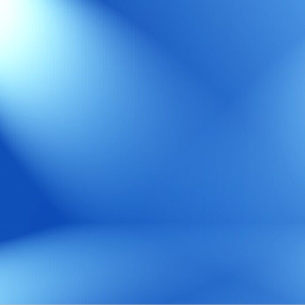 Studioking фон плат bla2 3x2m с щампа