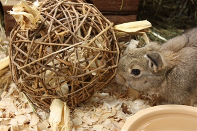 Natur First Happy Pet Playball Willow