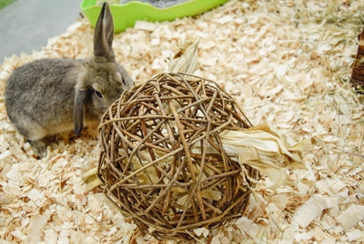 Natur First Happy Pet Playball Willow