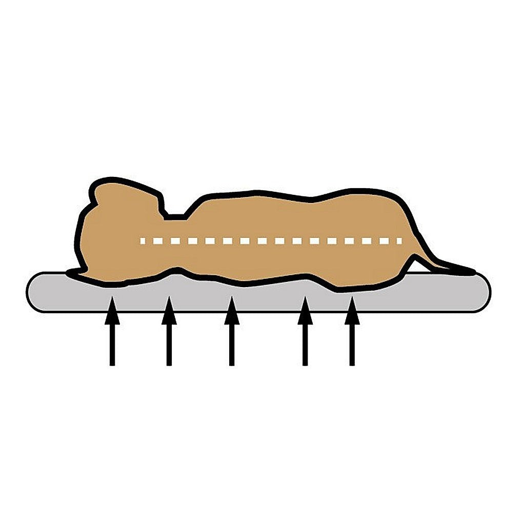 Sun Garden Lou Orthopedic dog cushion 60x40x5 Gray