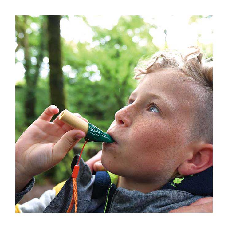 Hape bamboo nature detective set