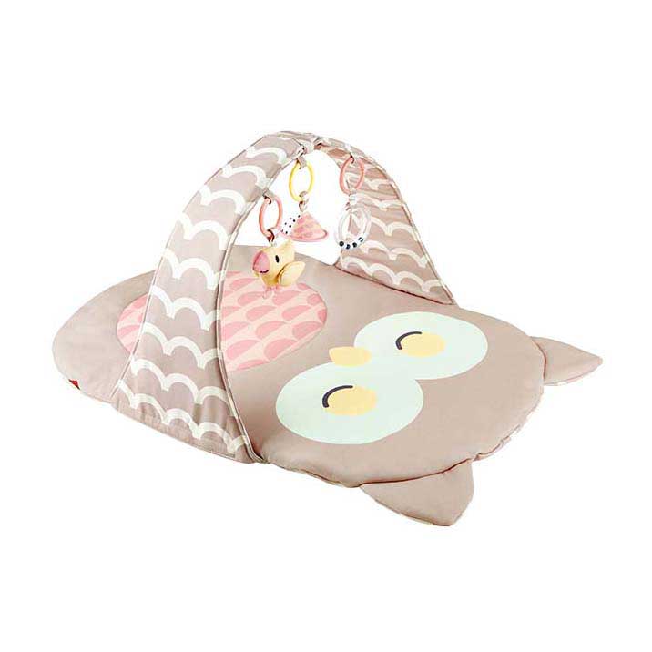 Hape baby gym owl oscar