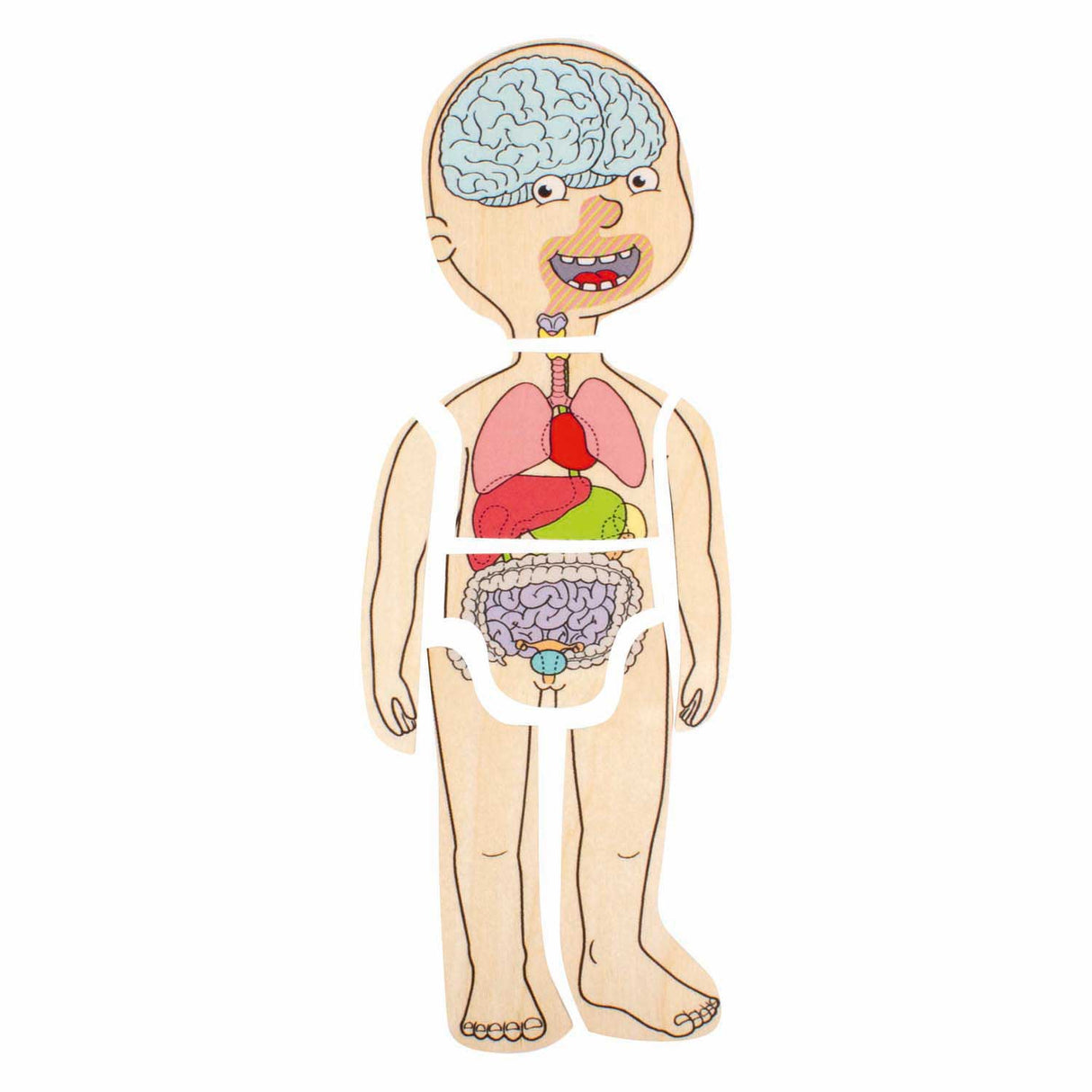 Beleduc wooden layered puzzle girl - 5 layers