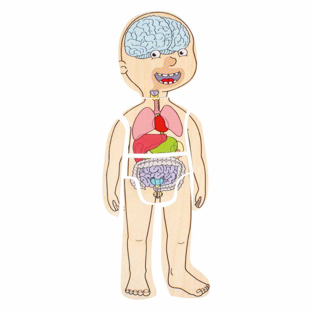 Beleduc wooden layered puzzle boy - 5 layers
