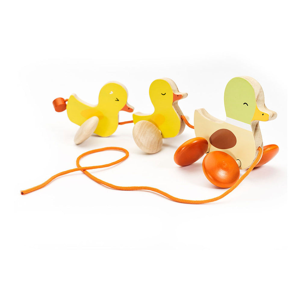 Klassische Welt zum Ziehen von Enten aus Holz