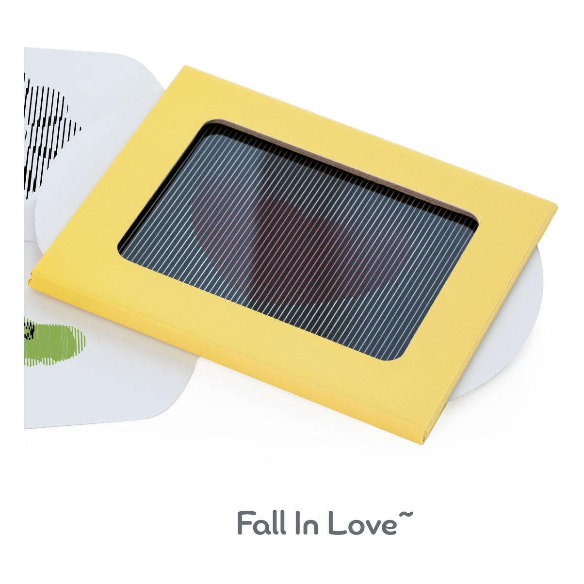 Klasikinio pasaulio optinių eksperimentų medinis žaidimų rinkinys, 16 vnt.