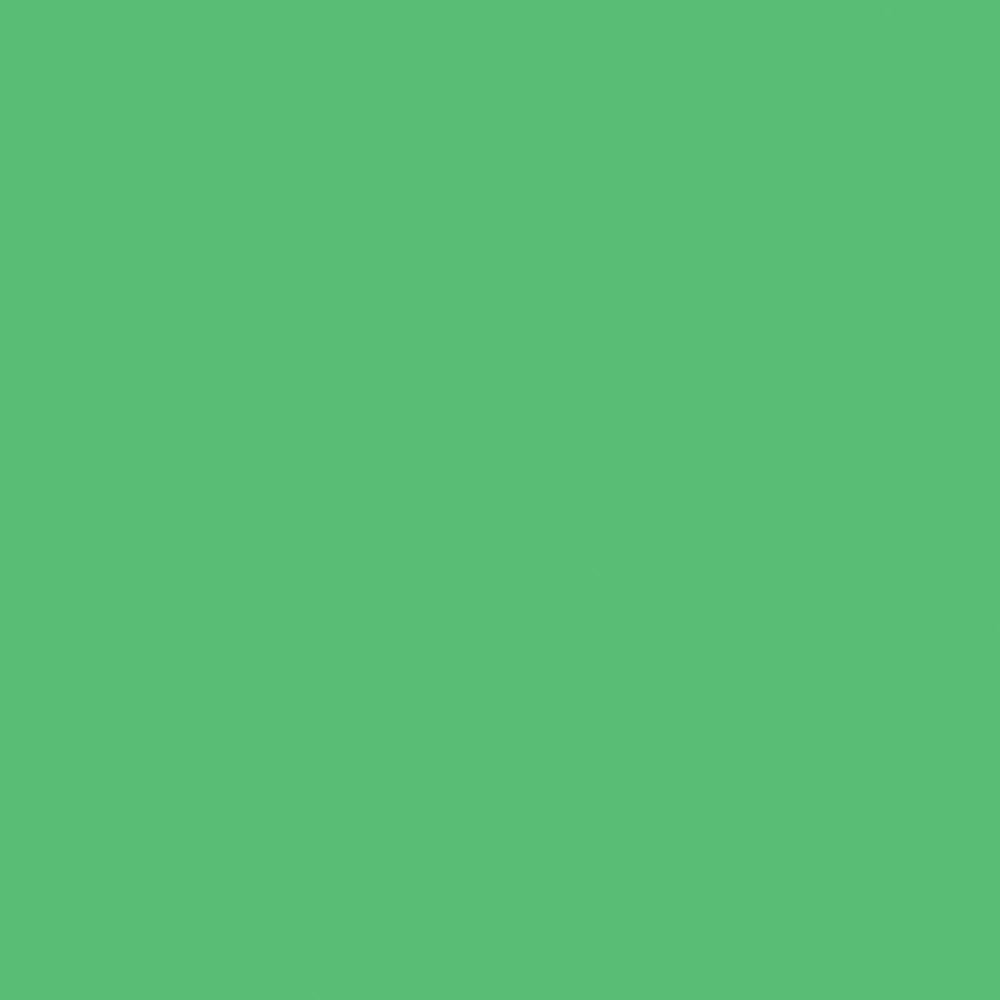 Colored Cardboard Grass Green A4, 20 sheets