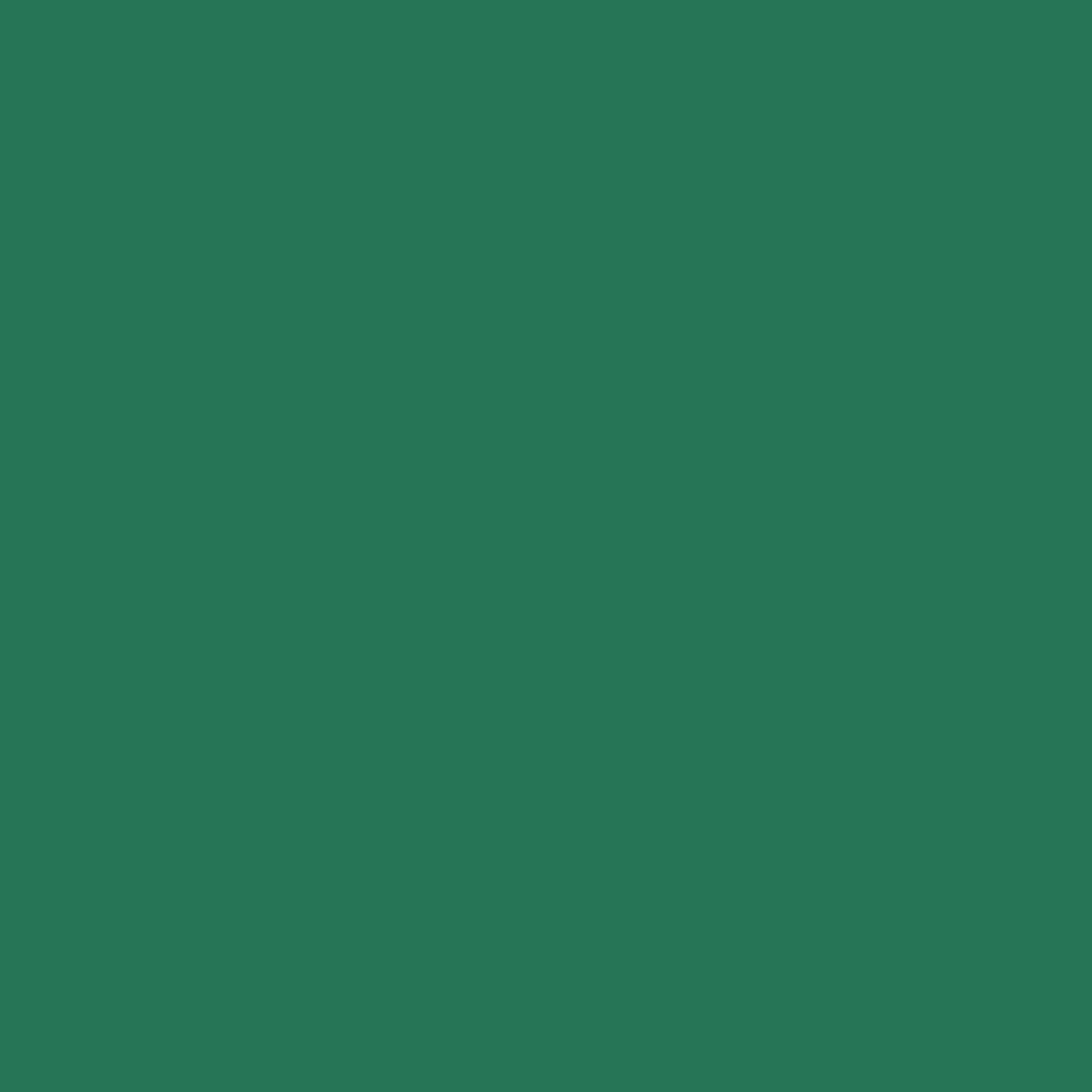 Creativ Company Colored Cardboard Pine Green A4, 20 sheets