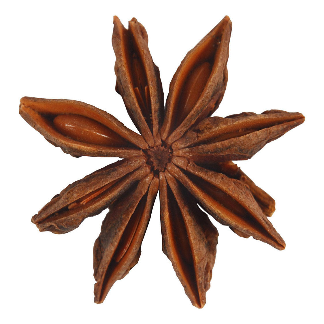 Creativ company star anise, 10 pieces 1 box
