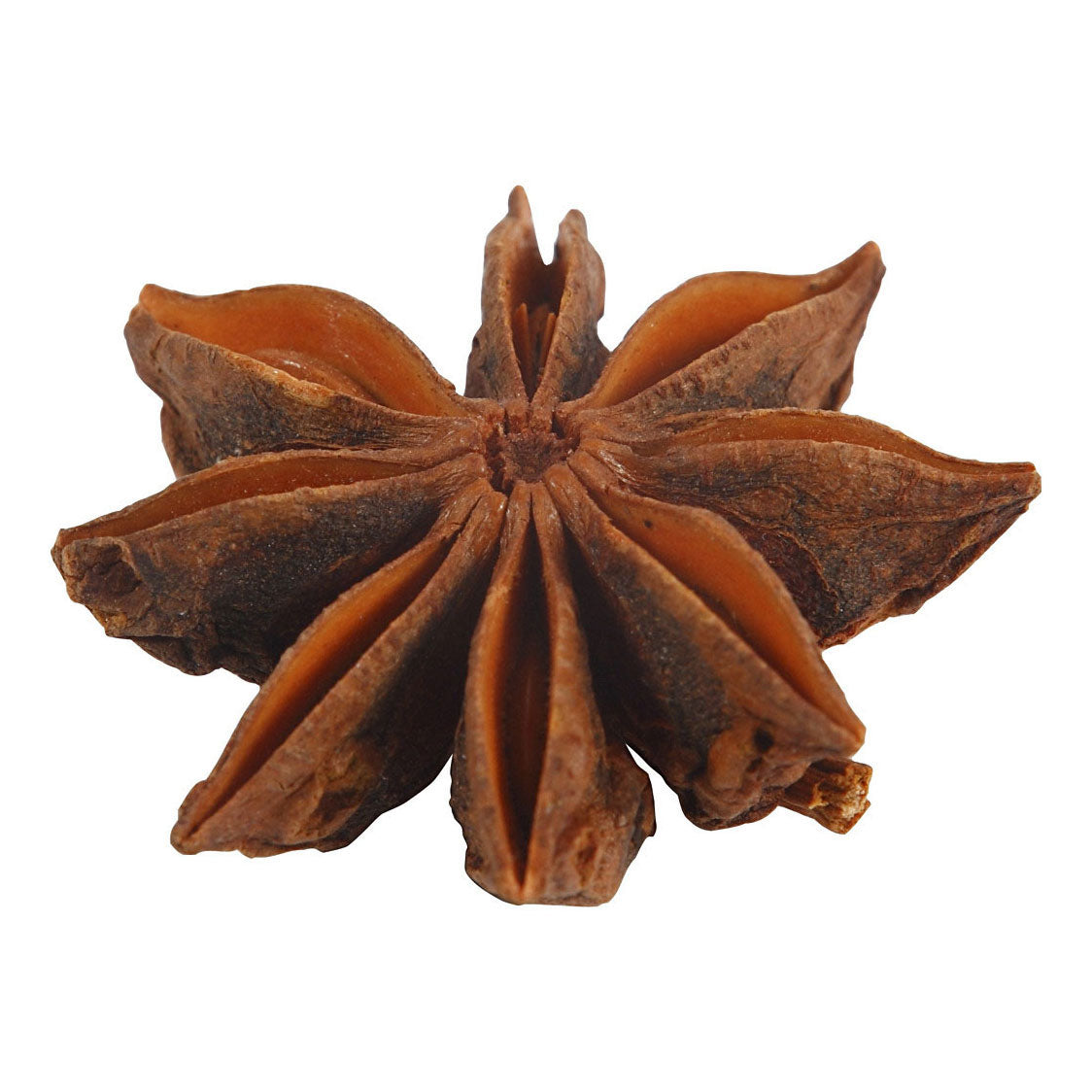 Creativ company star anise, 10 pieces 1 box