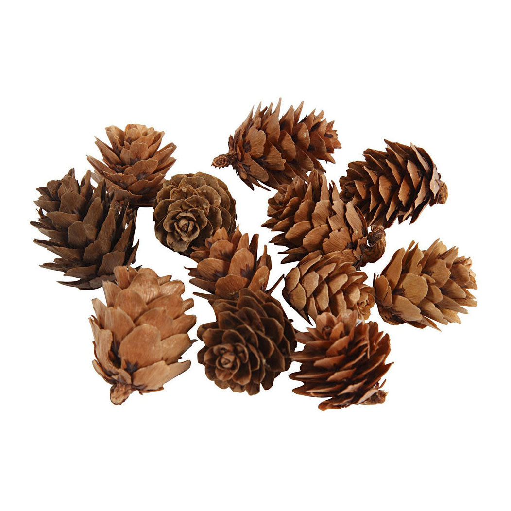 Creativ company larchskegels, 12st.