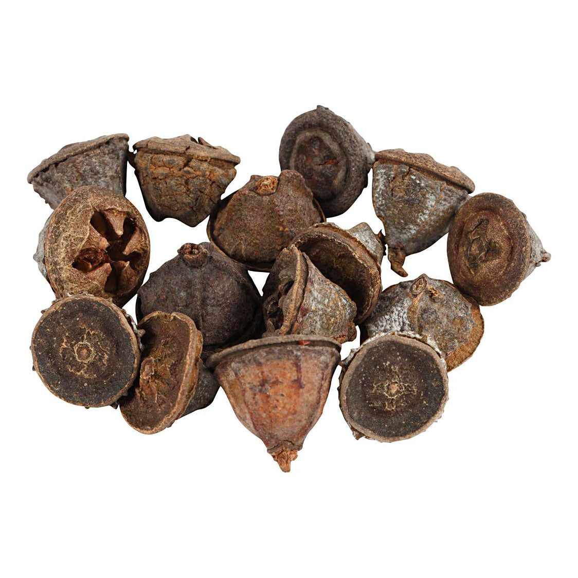 Creativ company larch cones, 25 grams