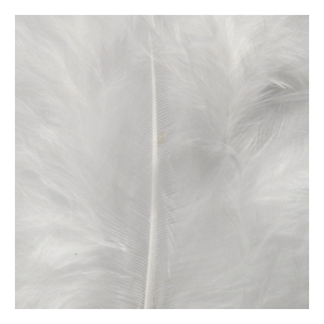 Creativ company down, size 5-12 cm, white, 15 pieces in a box