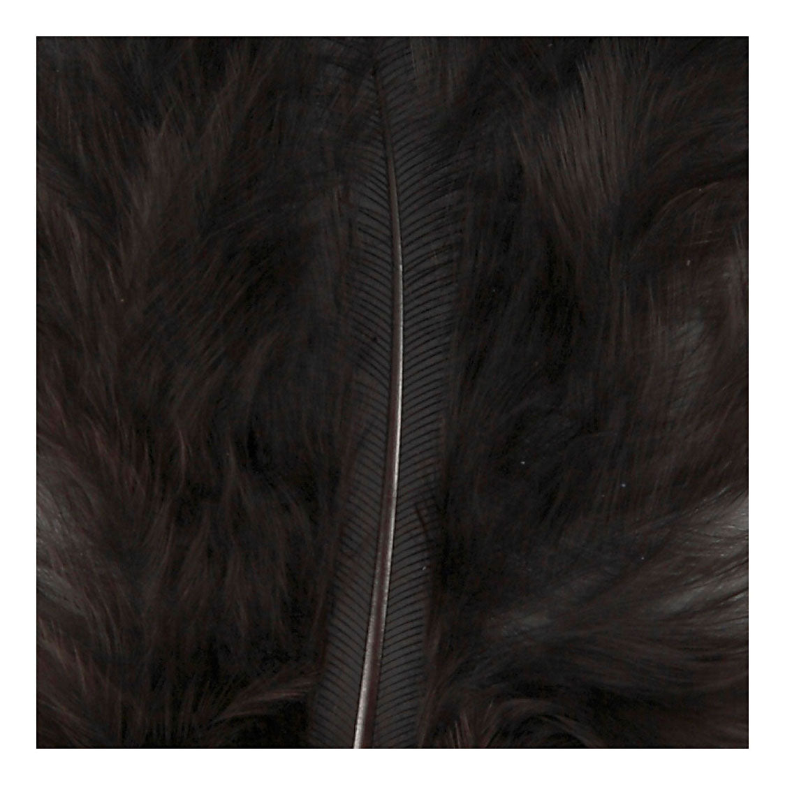 Creativ company down, size 5-12 cm, black, 15 pieces in a box