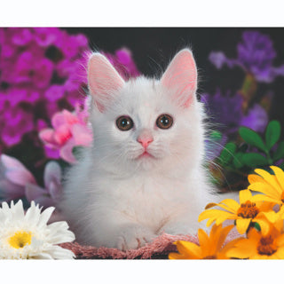 Ravensburger Puzzle de puzzle xxl beau chaton, 100e.