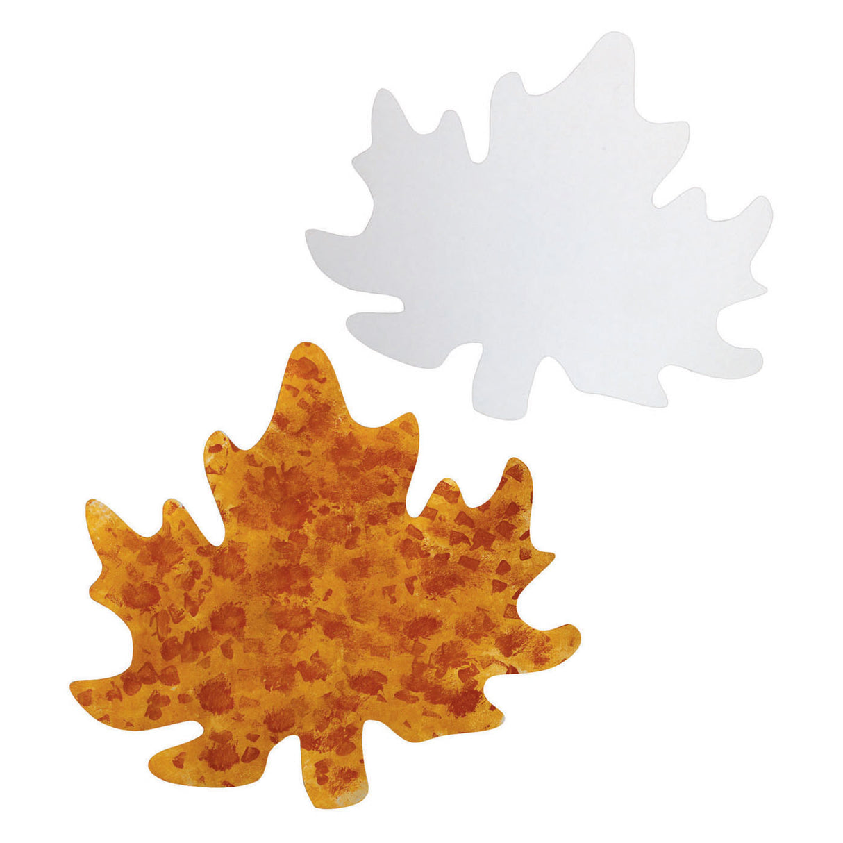 Colorations Leaves Cardboard, Set of 24