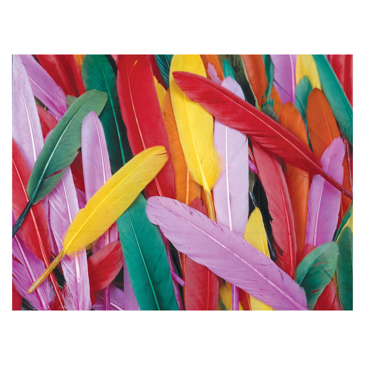 Spalvos - spalvotos ančių plunksnos, 28,5 gramo