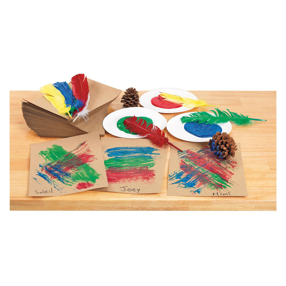 Färbung - Federn 30 cm, 24 Set von 24