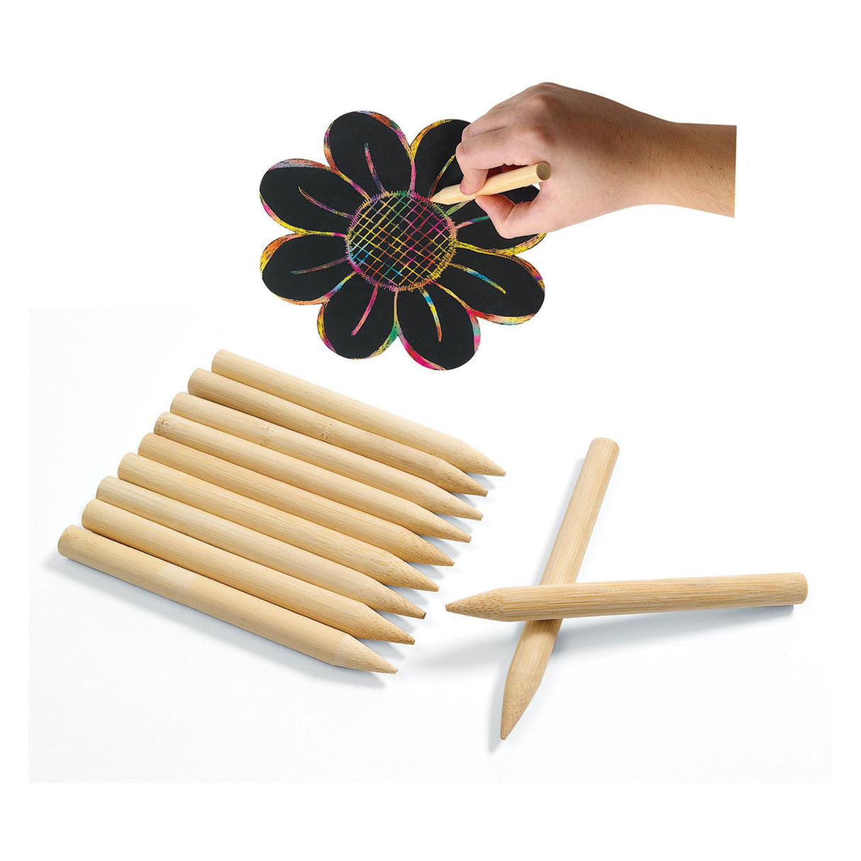 Colorations - wooden scriber, set of 48