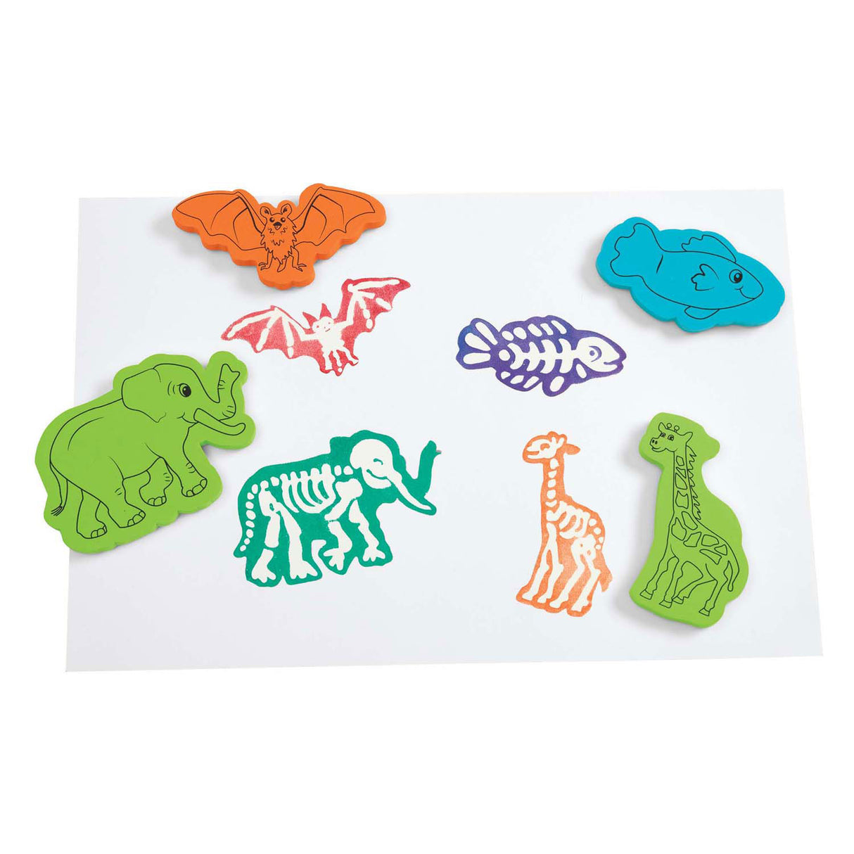 Colorations - animal skeleton stamps, 15 pcs.
