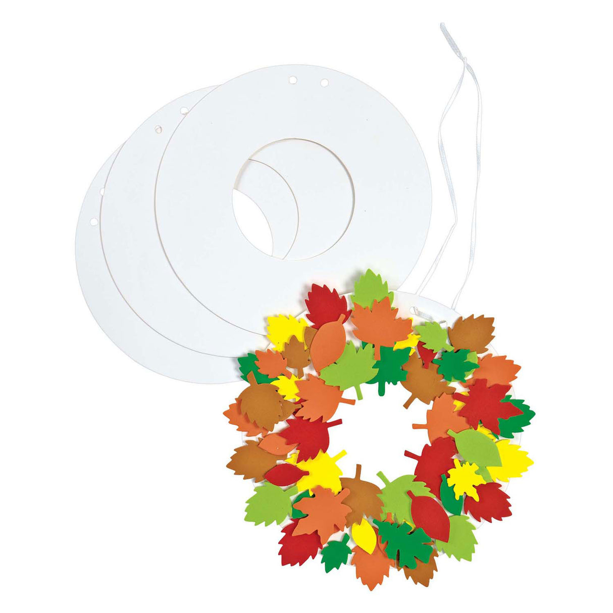 Colorations - cardboard wreaths, 24 pcs.