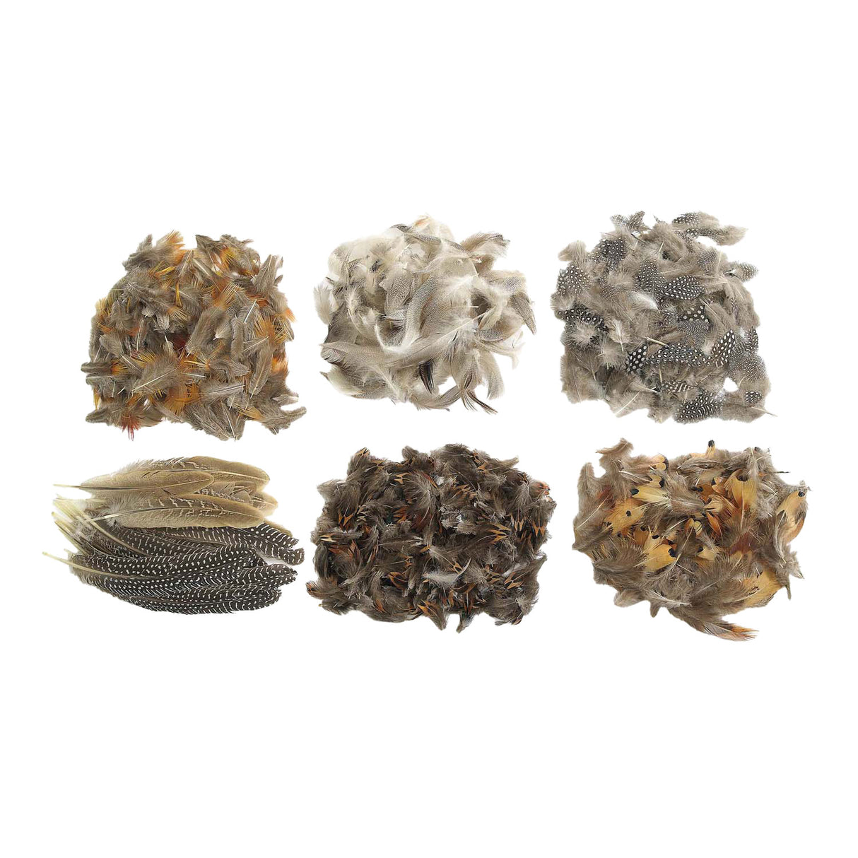 Colorations - natural feathers