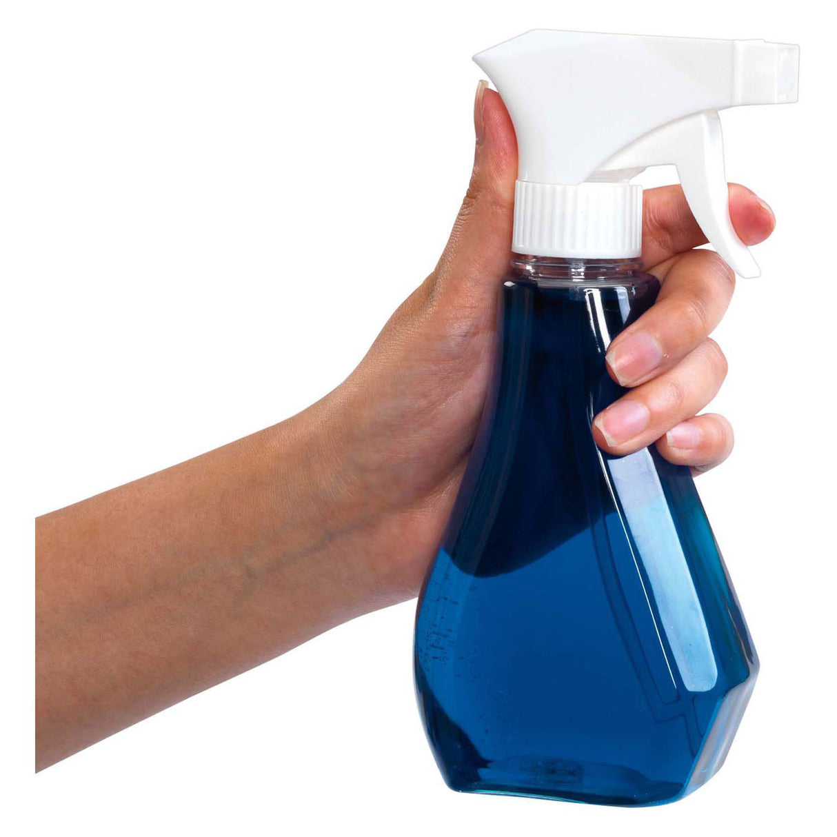 Colorations - xl spray transparent 350 ml, 6 pcs.