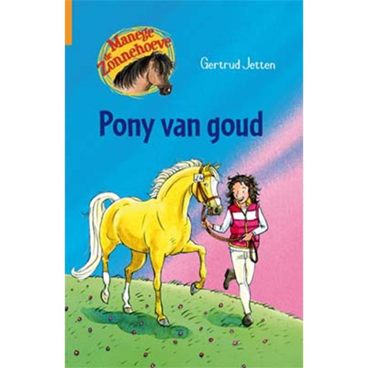 Kluitman pony van goud