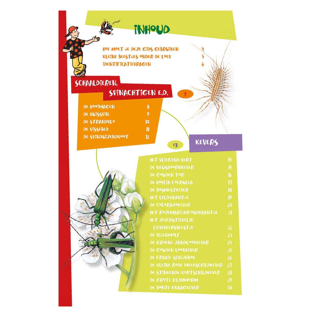 Nejlepší průvodce hmyzem pro děti