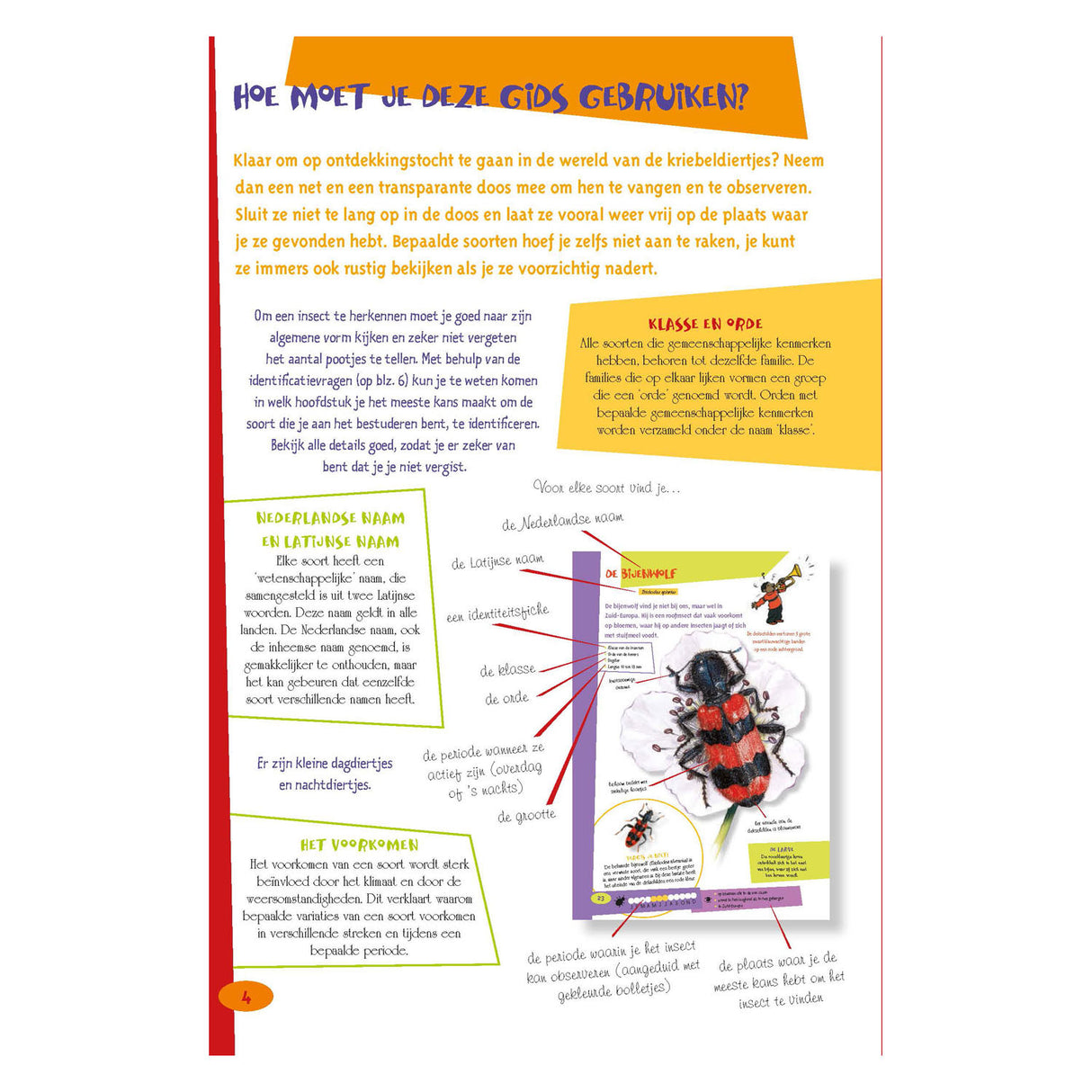 Nejlepší průvodce hmyzem pro děti